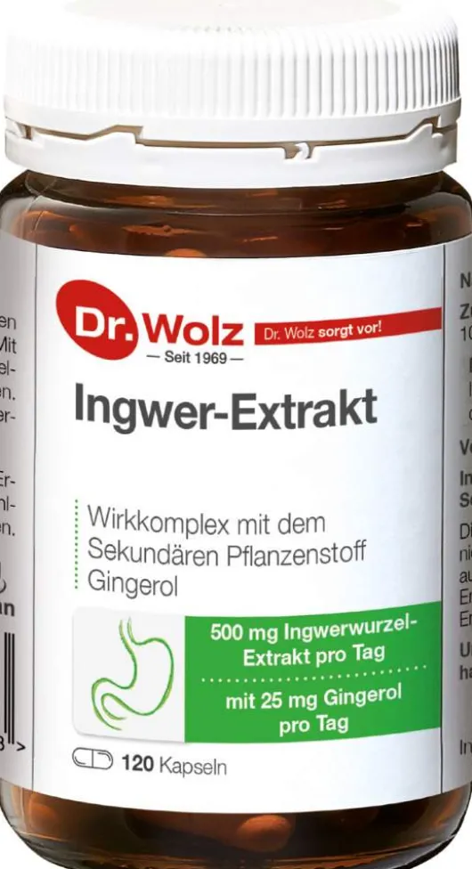 Ingwer Extrakt Dr. Wolz 120 Kapseln