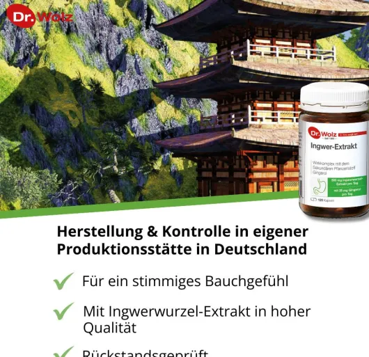 Ingwer Extrakt Dr. Wolz 120 Kapseln