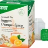 Ingwer Orange Spicy Tee Salus