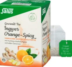Ingwer Orange Spicy Tee Salus