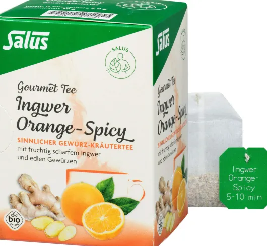 Ingwer Orange Spicy Tee Salus
