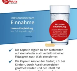 Jod Calcium Kapseln Dr.Wolz