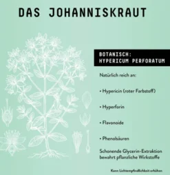 Johanniskraut Extrakt Kräuter Tropfen alkoholfrei 100 ml