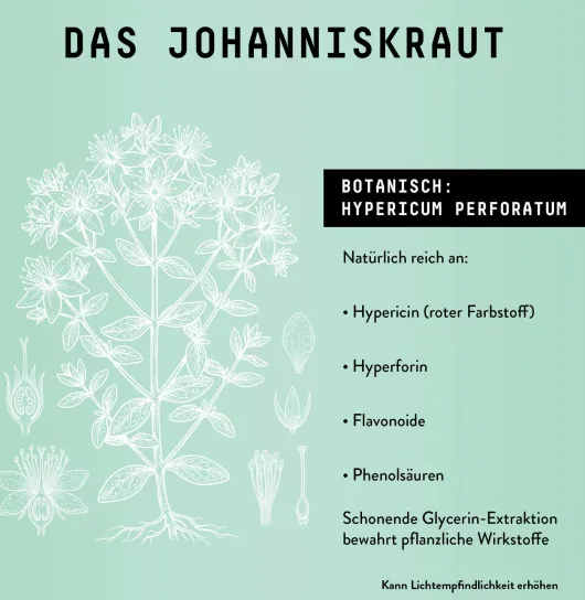 Johanniskraut Extrakt Kräuter Tropfen alkoholfrei 100 ml