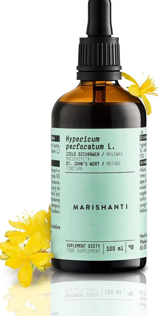 Johanniskraut Extrakt Kräuter Tropfen alkoholfrei 100 ml