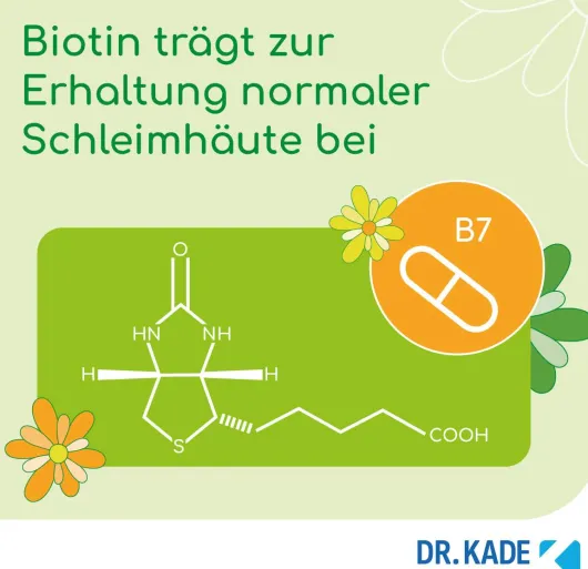 Kadeflora Milchsäurebakterien mit Biotin 30 Kapseln