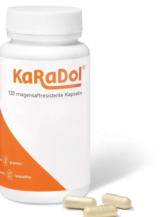 Karadol 120 Magensaftresistente Kapseln