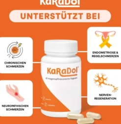 Karadol 120 Magensaftresistente Kapseln