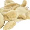 Kühltier Hund