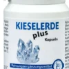 Kieselerde Plus 60 Kapseln