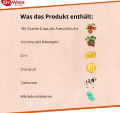 Kinderimmun Dr.Wolz 30 X 2 G Pulver