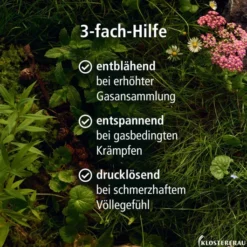 Klosterfrau Magen-Darm Entspannung 20 Kapseln