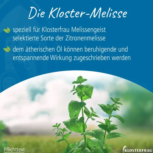 Klosterfrau Melissengeist 330 ml Flüssigkeit