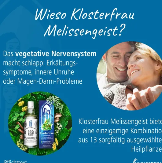 Klosterfrau Melissengeist 330 ml Flüssigkeit