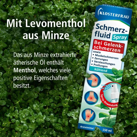 Klosterfrau Schmerzfluid 150 ml Spray