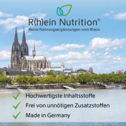 Kurkuma 95 % + Curcumin + Piperin + Vitamin C Vegan 120 Kapseln