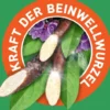 Kytta Schmerzsalbe 2 x 150 g