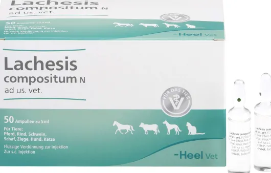Lachesis Compositum N Ad Us. vet. 50 Ampullen