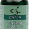 Lactase 12000 Fcc 60 Kapseln