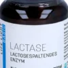Lactase Kapseln