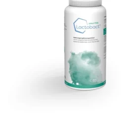 Lactobact Omni Fos 300 Magensaftresistente Kapseln