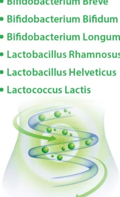 Lakto Bifido Dr.Jacob s 90 Kapseln