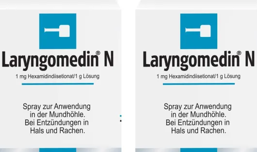 Laryngomedin N Hals-Spray 2 x 45 g