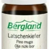 Latschenkiefernöl Bergland 10 ml