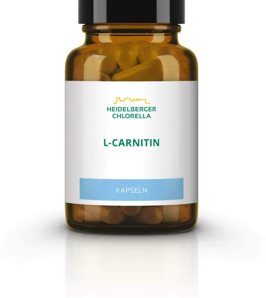 L-Carnitin 36 G Kapseln