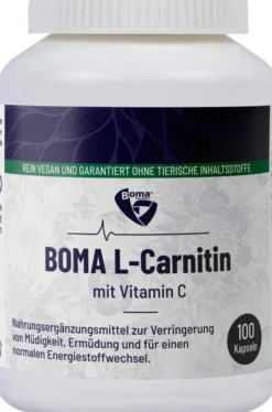L-Carnitin 500 Kapseln 100 Kapseln