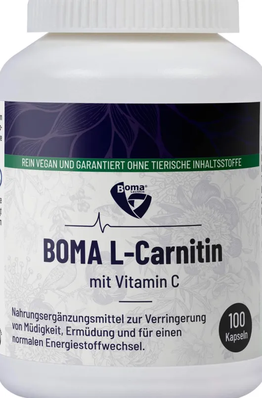 L-Carnitin 500 Kapseln 100 Kapseln