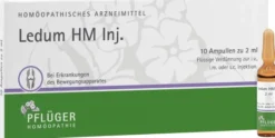 Ledum Hm Injekt 10 Ampullen