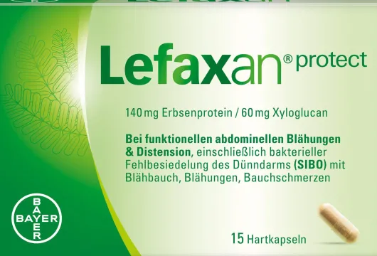 Lefaxan Protect 15 Hartkapseln