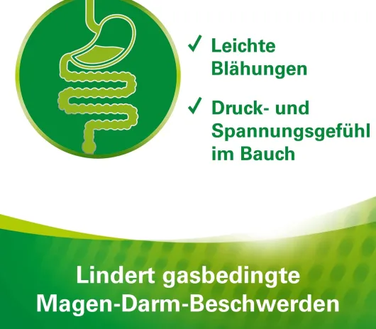 Lefax Kautabletten 50 Kautabletten