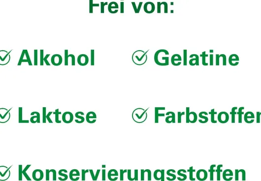 Lefax Kautabletten 100 Kautabletten