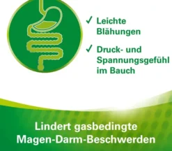 Lefax Kautabletten 100 Kautabletten
