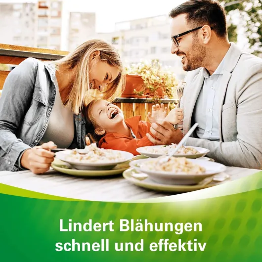 Lefax Kautabletten 100 Kautabletten
