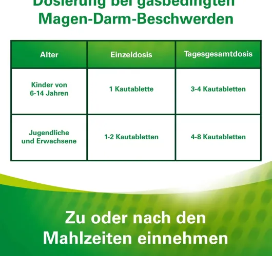 Lefax Kautabletten 100 Kautabletten