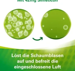Lefax Kautabletten 100 Kautabletten
