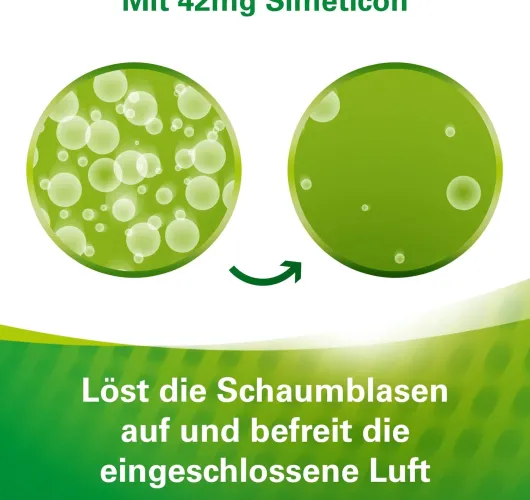 Lefax Kautabletten 100 Kautabletten
