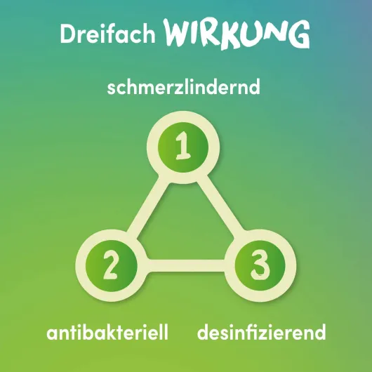 Lemocin gegen Halsschmerzen 20 Lutschtabletten