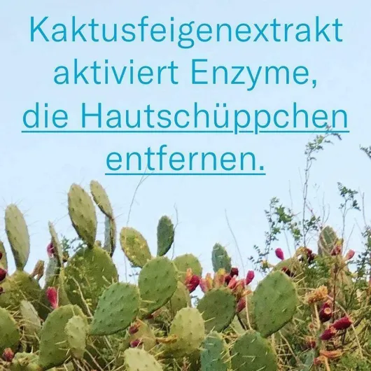 LETI Balm Fußpflegecreme 100 ml