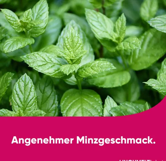 Lingumelt Akut 2 mg Lyophilisat zum Einnehmen 6 Stück