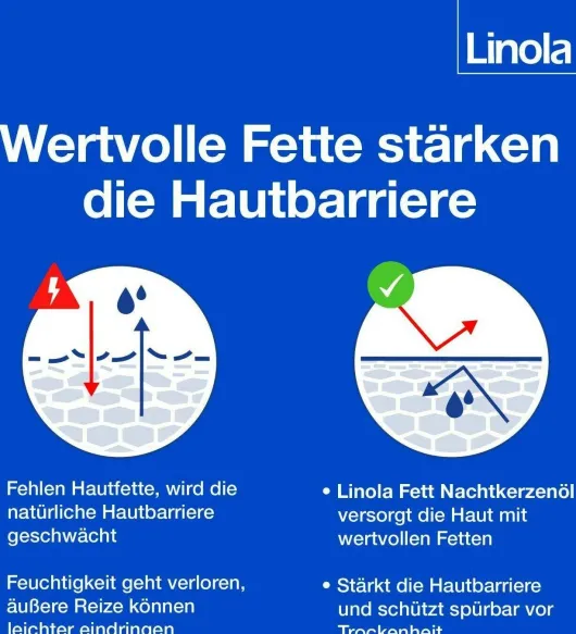 Linola Fett Nachtkerzenöl 20 g je 100 g 100 g Creme