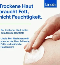 Linola Fett Nachtkerzenöl 20 g je 100 g 100 g Creme