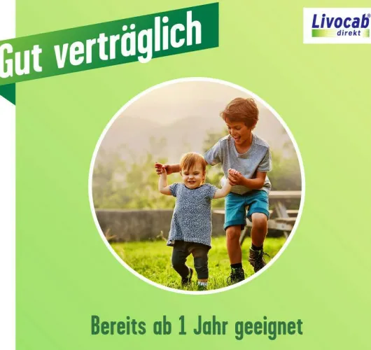 Livocab direkt 4 ml Augentropfen