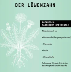 Löwenzahnwurzel Extrakt Kräuter Tropfen alkoholfrei 100 ml