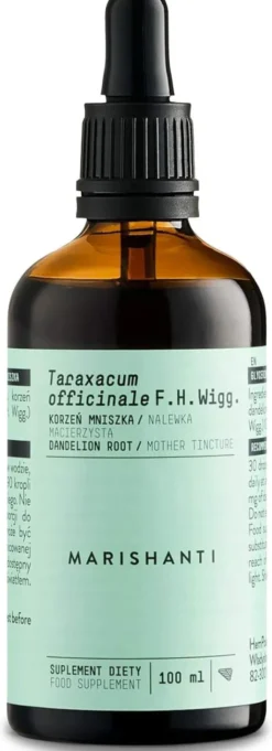 Löwenzahnwurzel Extrakt Kräuter Tropfen alkoholfrei 100 ml