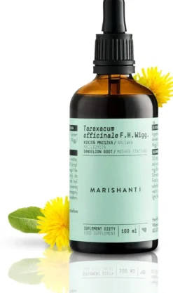 Löwenzahnwurzel Extrakt Kräuter Tropfen alkoholfrei 100 ml