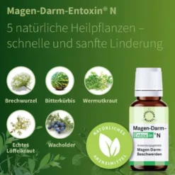 Magen Darm Entoxin N 100 ml Tropfen